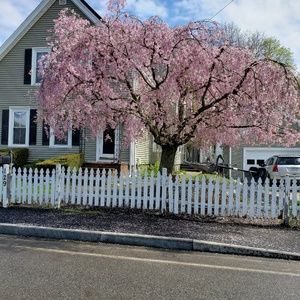 Meet your Posher, Kristina